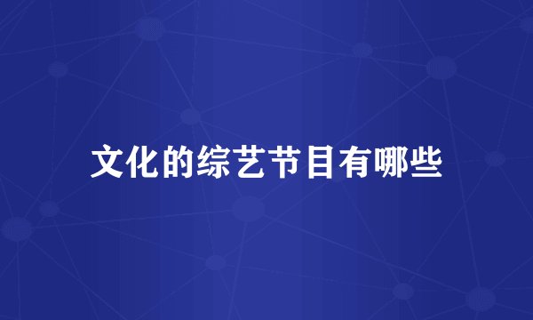 文化的综艺节目有哪些
