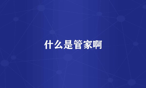 什么是管家啊
