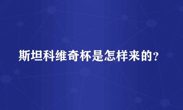 斯坦科维奇杯是怎样来的？