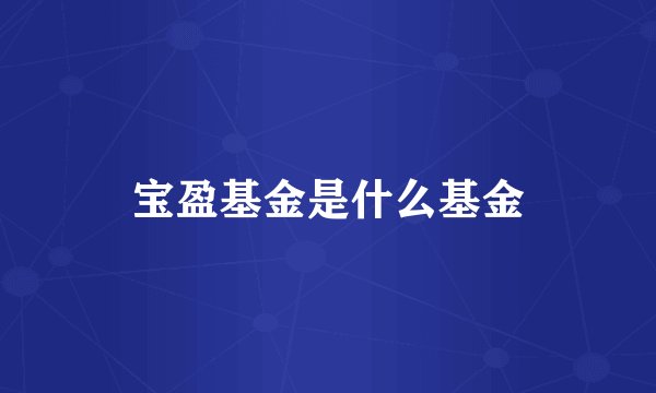 宝盈基金是什么基金