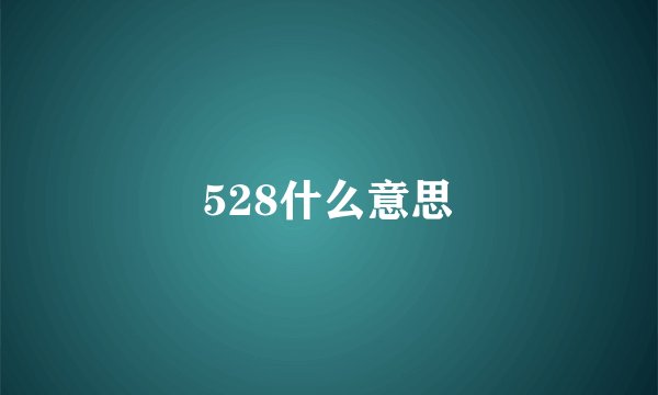 528什么意思