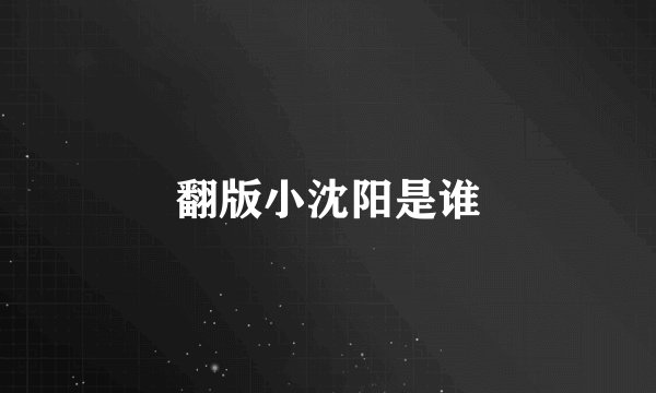 翻版小沈阳是谁