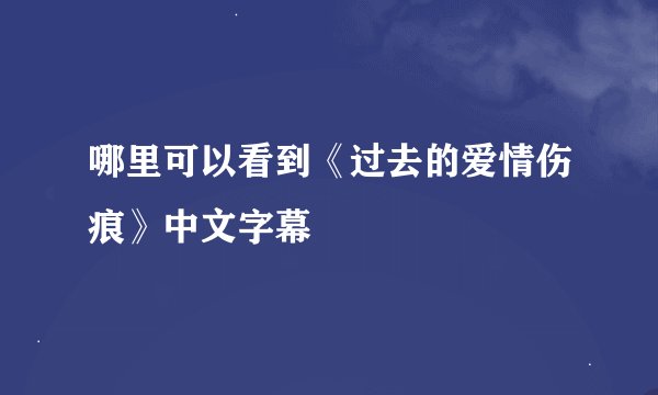 哪里可以看到《过去的爱情伤痕》中文字幕