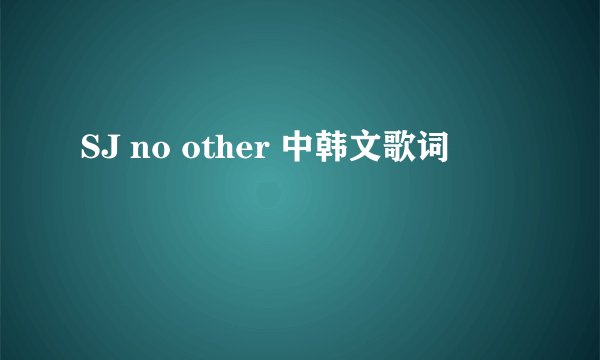 SJ no other 中韩文歌词
