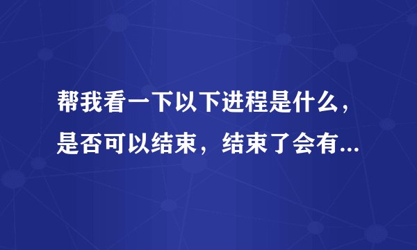 帮我看一下以下进程是什么,是否可以结束,结束了会有什么后果!