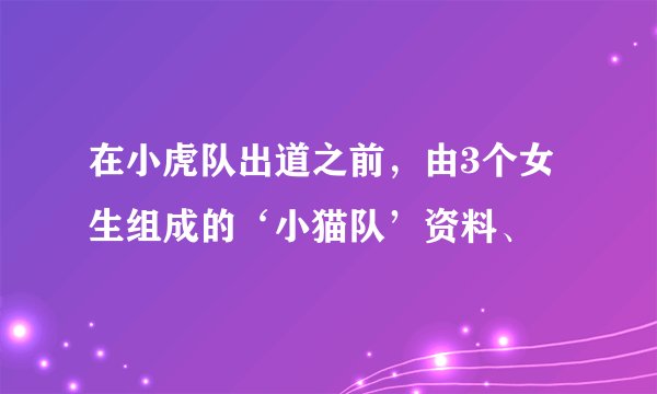 在小虎队出道之前，由3个女生组成的‘小猫队’资料、