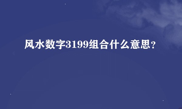 风水数字3199组合什么意思？