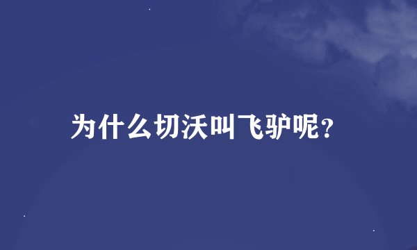 为什么切沃叫飞驴呢？