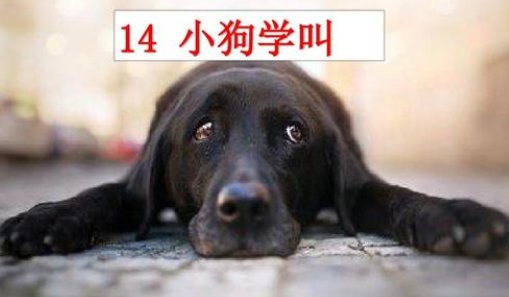小狗学叫的三种结局是什么?