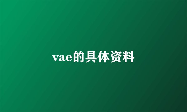 vae的具体资料