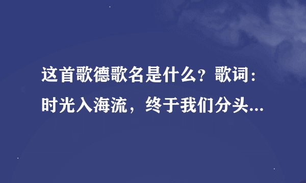 这首歌德歌名是什么？歌词：时光入海流，终于我们分头走，没有哪个港口是永远的停留