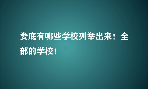 娄底有哪些学校列举出来！全部的学校！