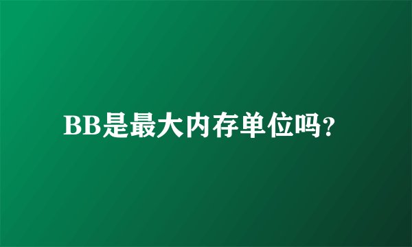 BB是最大内存单位吗？