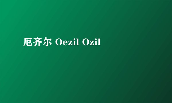 厄齐尔 Oezil Ozil