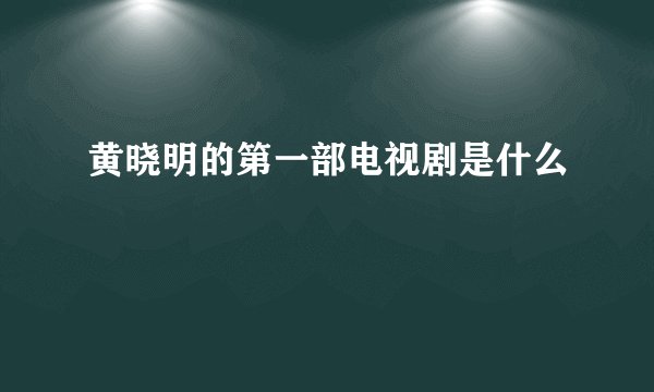 黄晓明的第一部电视剧是什么