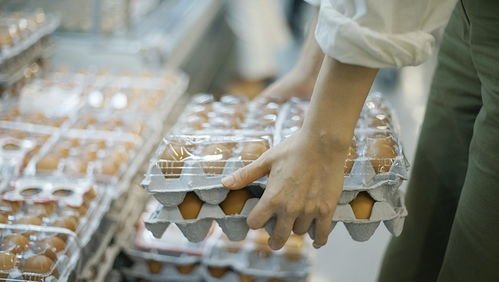 鸡蛋价格突破6元，为何会突然上涨？