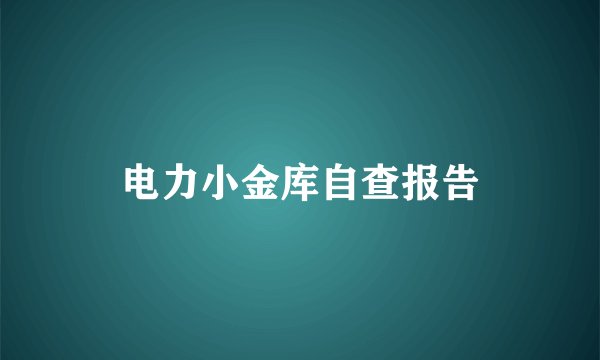 电力小金库自查报告
