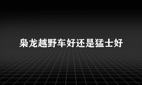 枭龙越野车好还是猛士好