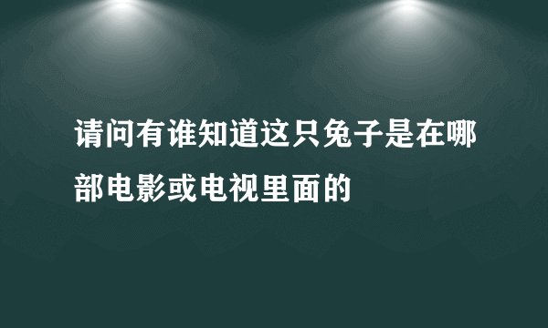 请问有谁知道这只兔子是在哪部电影或电视里面的