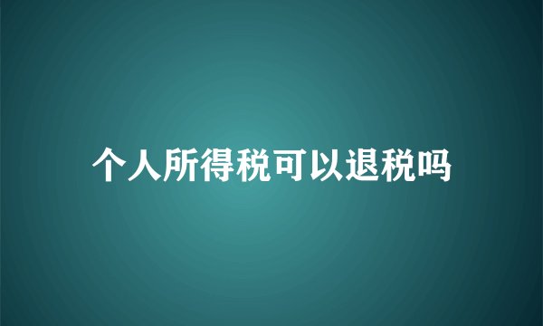 个人所得税可以退税吗