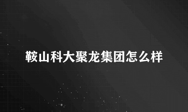 鞍山科大聚龙集团怎么样