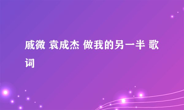 戚微 袁成杰 做我的另一半 歌词