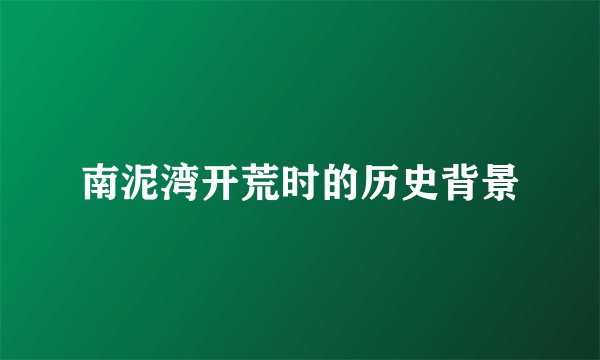 南泥湾开荒时的历史背景
