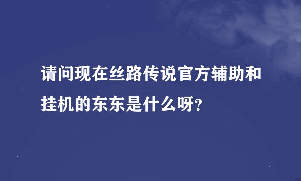 请问现在丝路传说官方辅助和挂机的东东是什么呀？