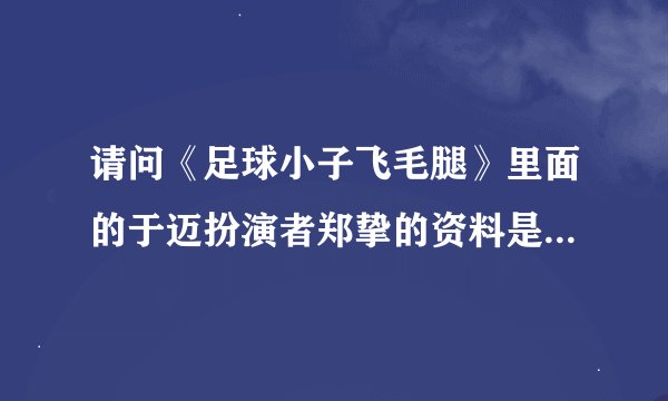 请问《足球小子飞毛腿》里面的于迈扮演者郑挚的资料是什么？为什么网上找不到呢？