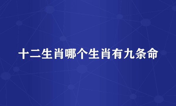 十二生肖哪个生肖有九条命