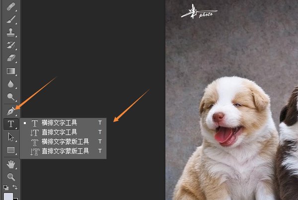 怎么用PS在图片上写字