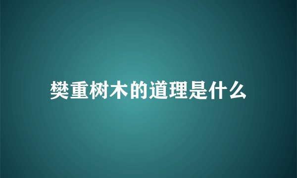 樊重树木的道理是什么