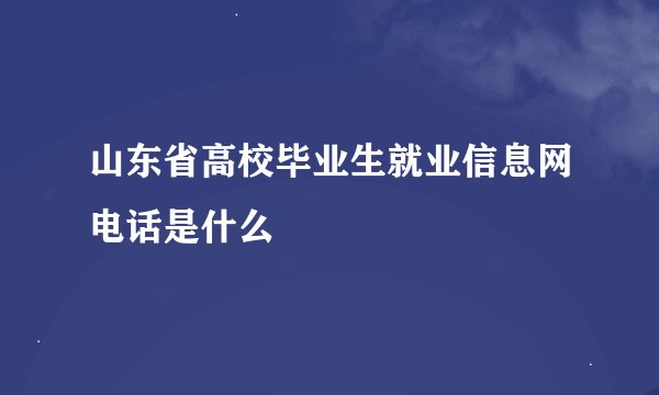 山东省高校毕业生就业信息网电话是什么