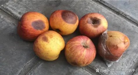 女子淘宝账号被封980年，气愤之下去阿里讨说法，咋回事？