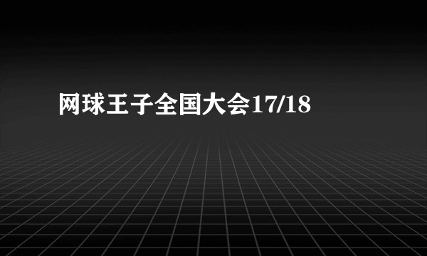 网球王子全国大会17/18