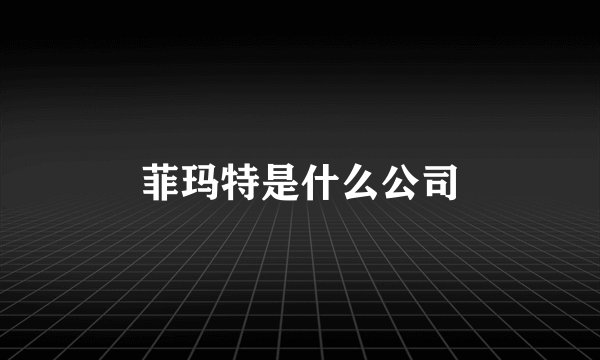 菲玛特是什么公司