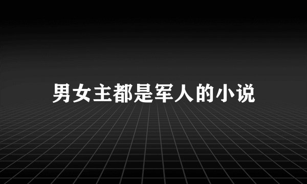 男女主都是军人的小说