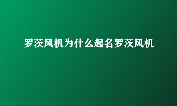 罗茨风机为什么起名罗茨风机