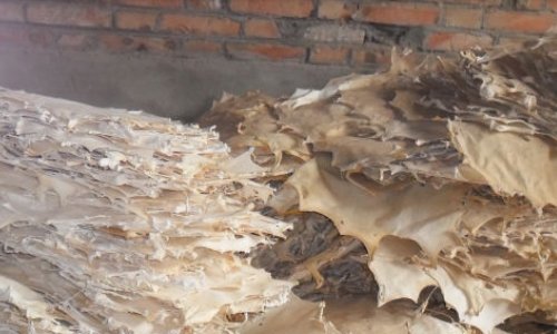 中国皮影戏制作皮影的步骤