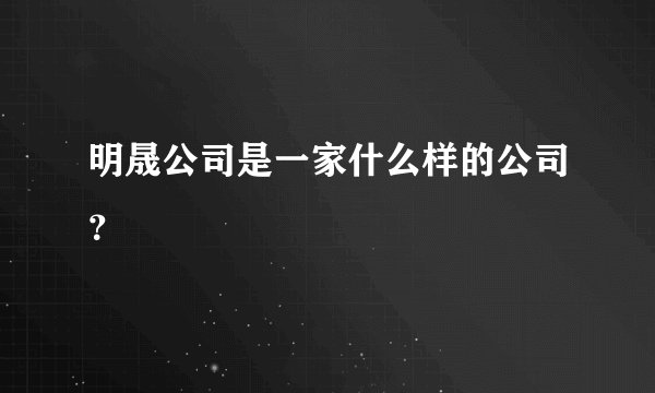 明晟公司是一家什么样的公司？