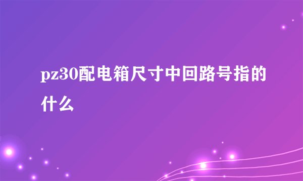 pz30配电箱尺寸中回路号指的什么