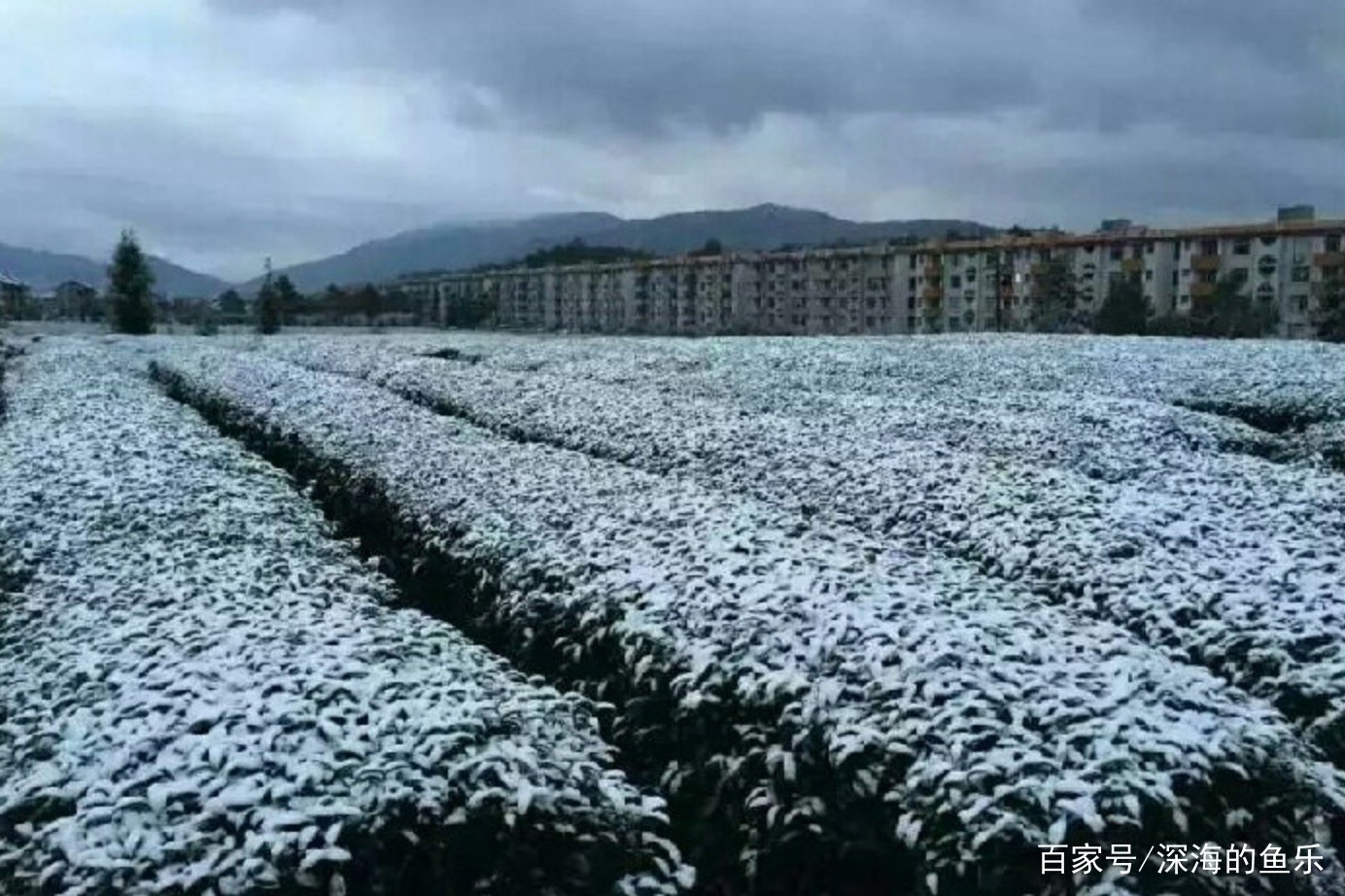 随着冷空气的继续南下，南方局部地区大幅降温，低温天气会持续多久？