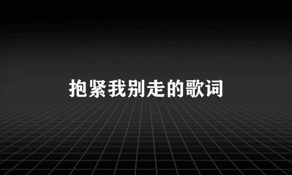 抱紧我别走的歌词