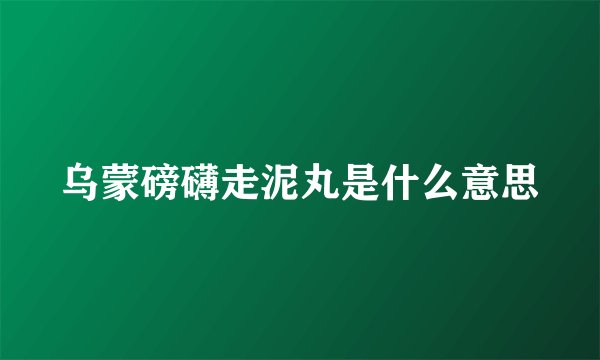 乌蒙磅礴走泥丸是什么意思