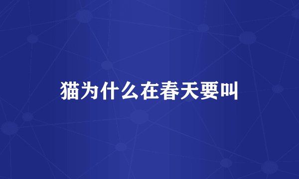 猫为什么在春天要叫