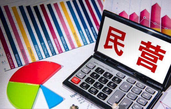 2018年11月,民营经济具有56789,九指的是什么？