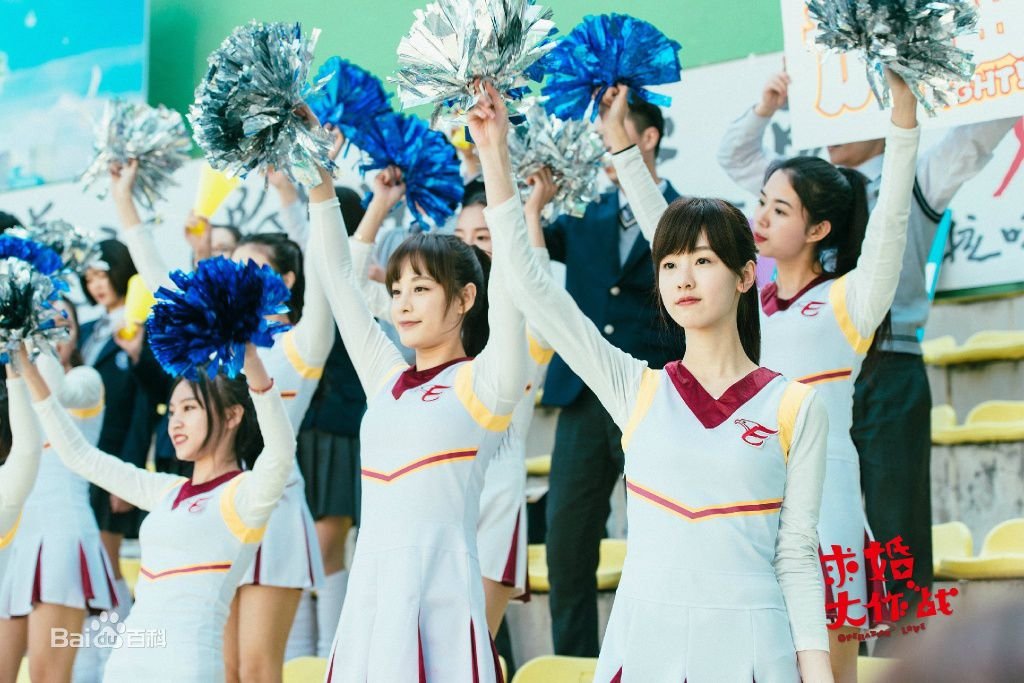 求婚大作战2017剧情简介？