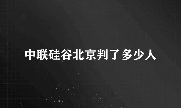 中联硅谷北京判了多少人