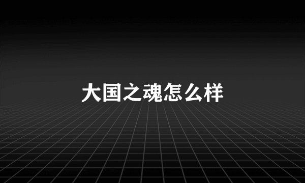 大国之魂怎么样