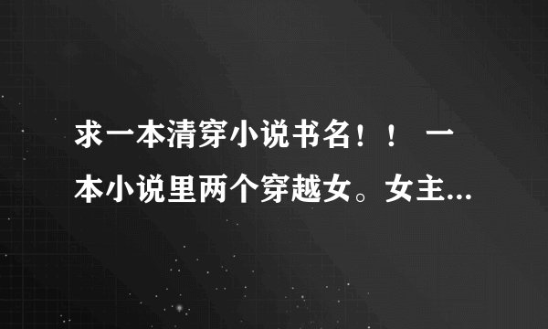 求一本清穿小说书名！！ 一本小说里两个穿越女。女主穿越成了四阿哥胤禛得嫡福晋，女主老乡穿越成康熙身